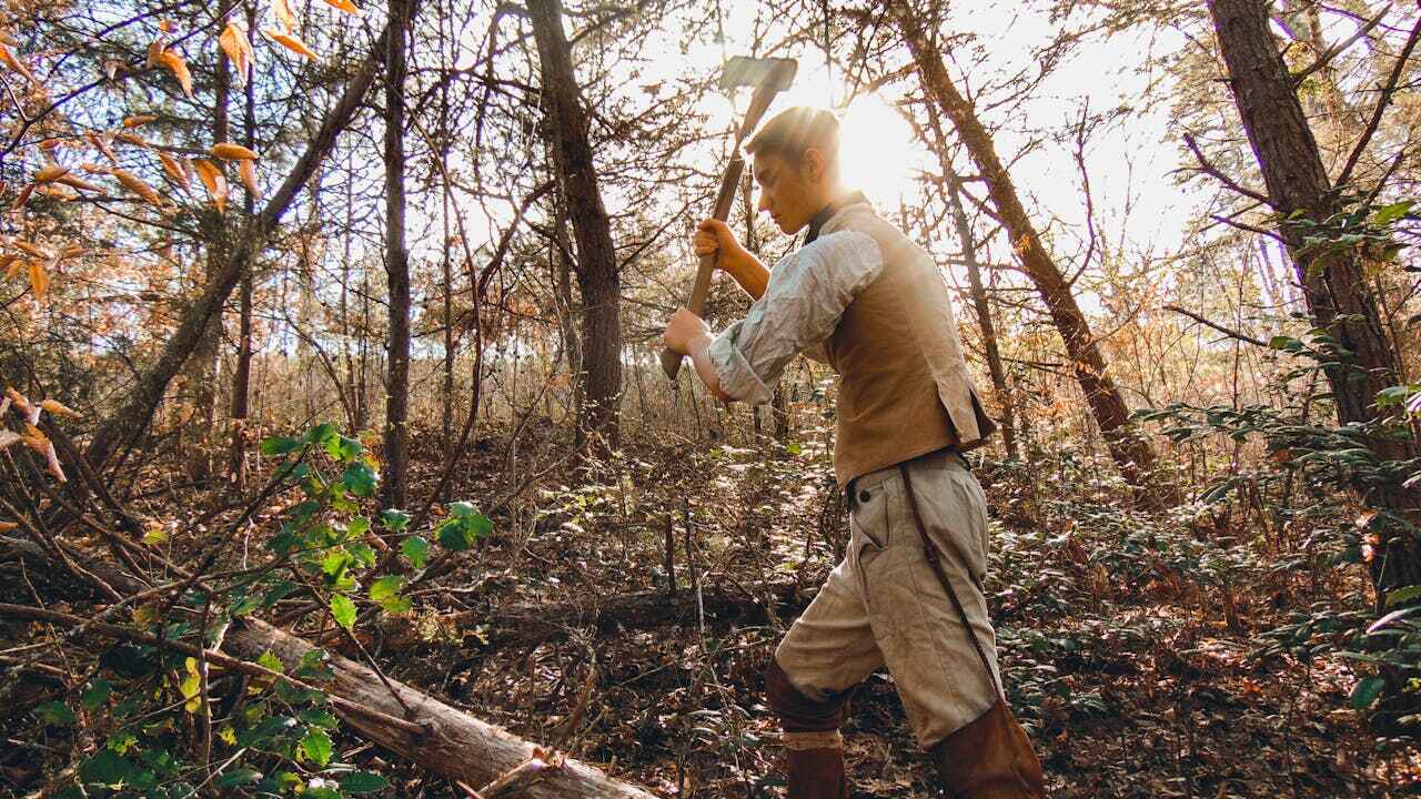 Best Tree Trimming Near Me  in USA